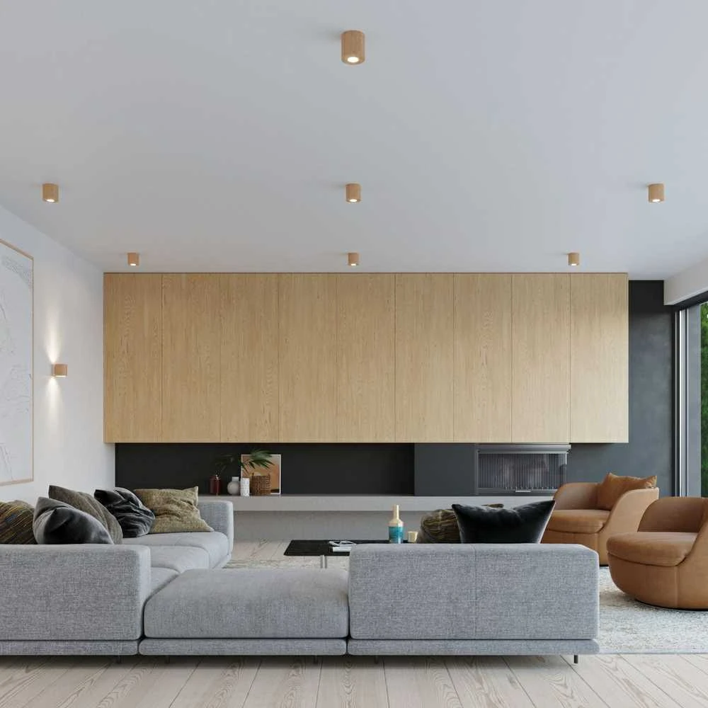 Lubinis šviestuvas Sollux Lighting „Sollux“ lubos ORBIS
