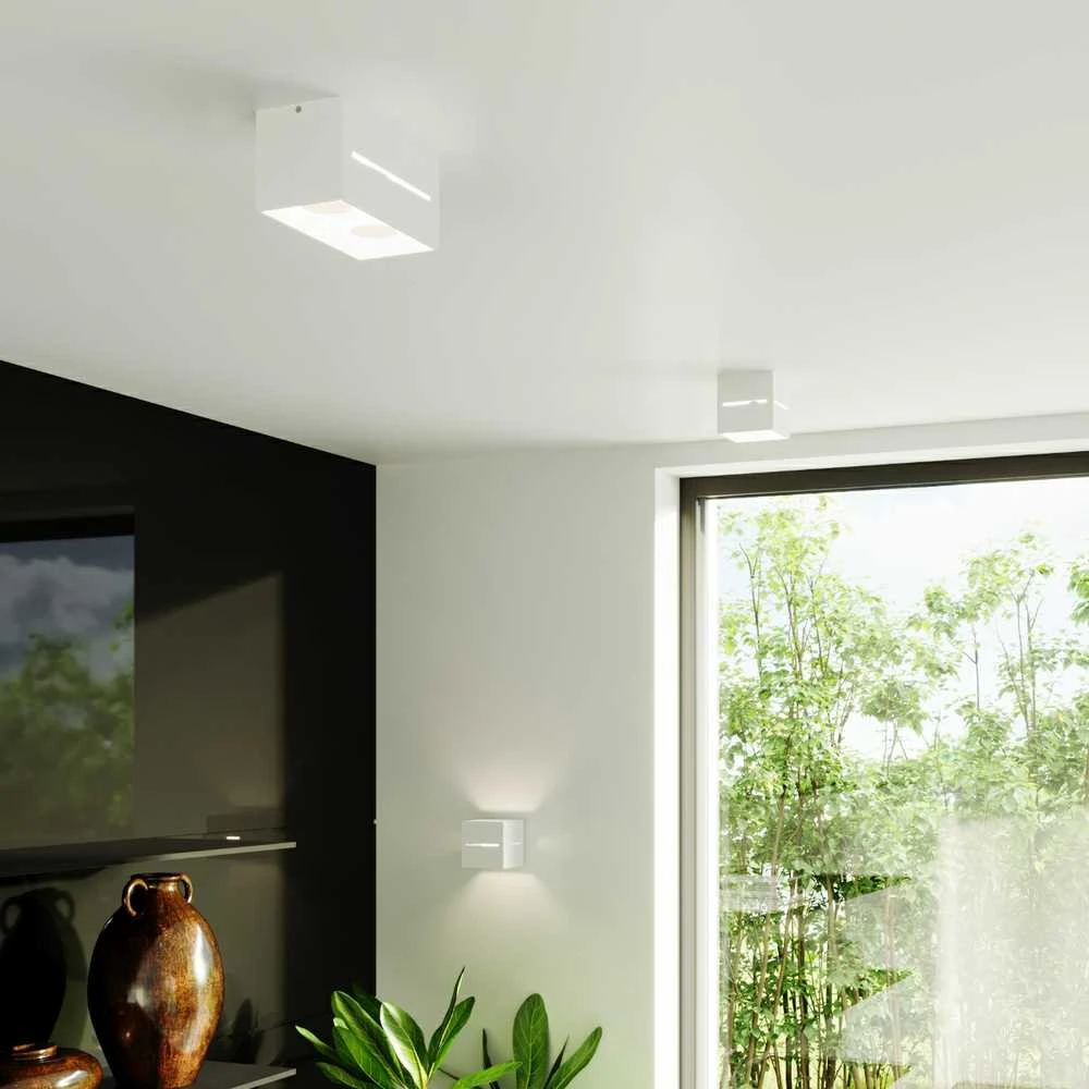 Sollux Lighting Sieninis šviestuvas LOBO MAXI baltas