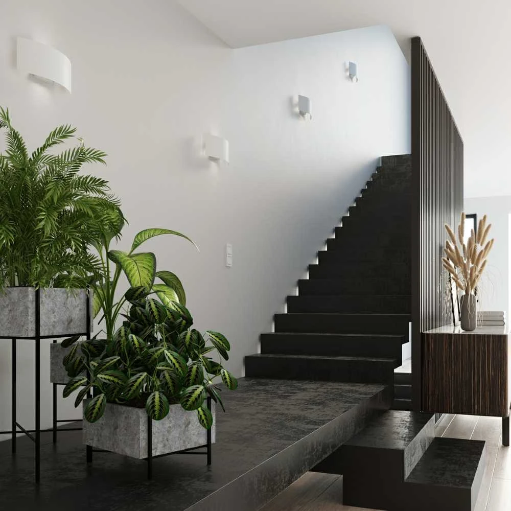 Sollux Lighting Sieninis šviestuvas MAGNUS baltas