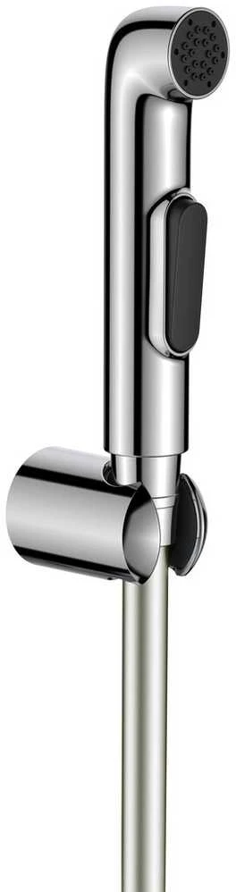 COM Bidė dušelio komplektas Deante Bidetta, ANW_061B, Chrome