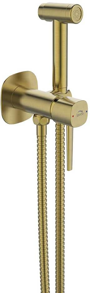 Bidė dušelio komplektas Laveo Pola, Brushed Gold