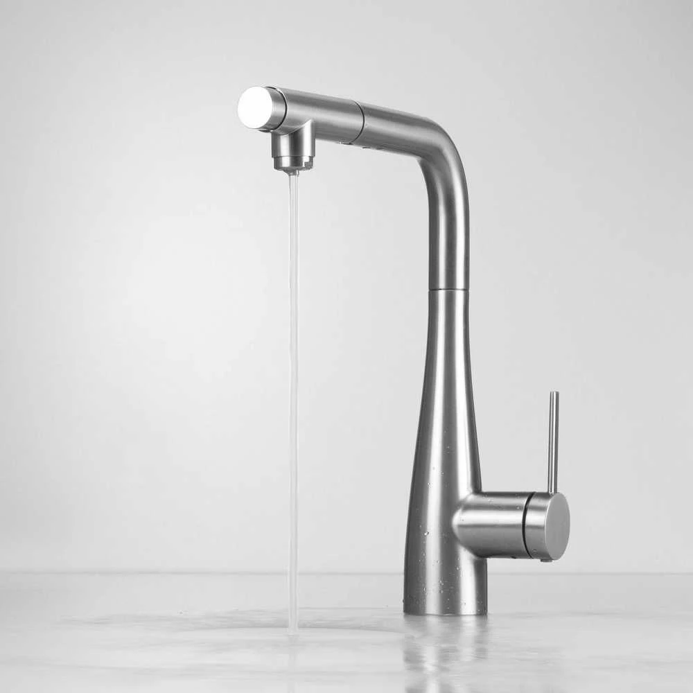 Deante Eridan virtuvinis maišytuvas su pajungimu vandens filtrui, BRE_F75M, Brushed steel