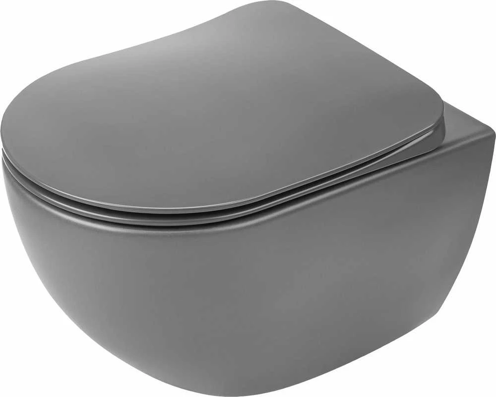 Klozetas Deante Peonia Rimless su lėtai nusileidžiančiu dangčiu, Anthracite/titanium