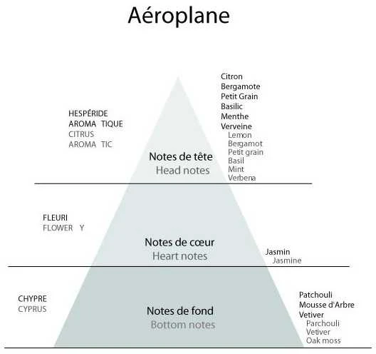 Detaille AEROPLANE EDT