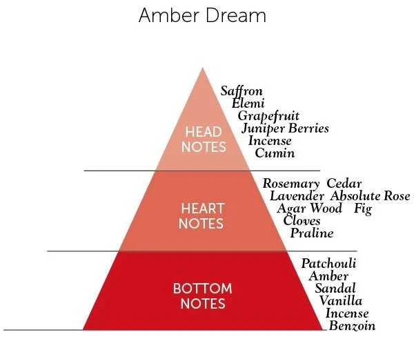 Detaille AMBER DREAM
