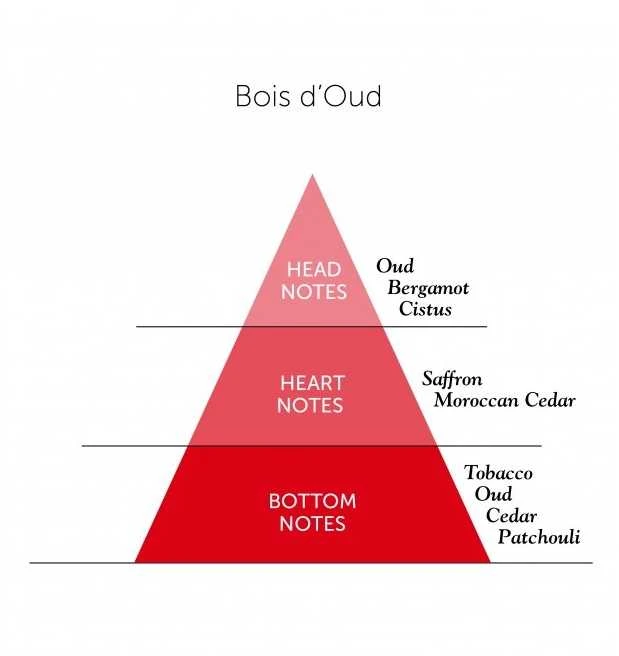 Detaille BOIS D'OUD EDP
