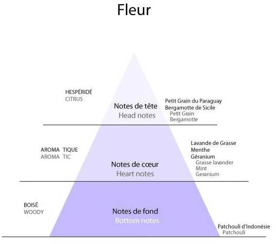 Detaille FLEURS EDC