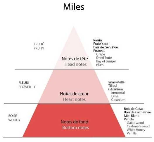 Detaille MILES EDT
