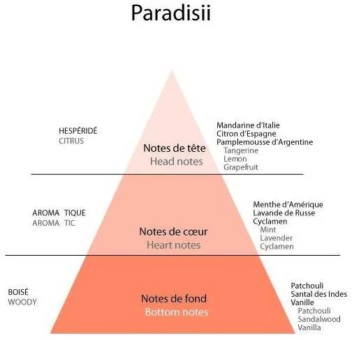 Detaille PARADISII EDC