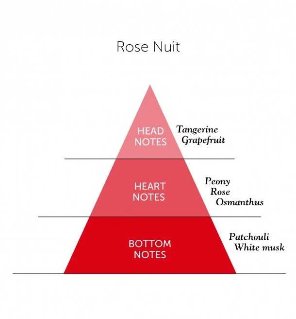 Detaille ROSE NUIT EDP