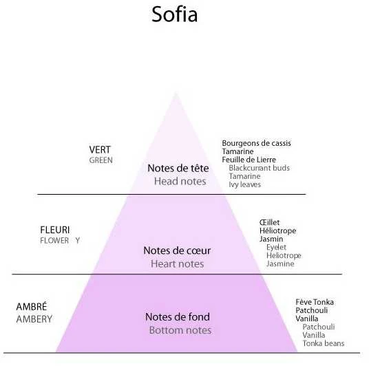 Detaille SOFIA EDT