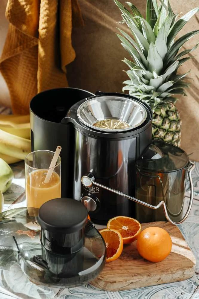 Sulčiaspaudė Adler AD 4132 | Type Juicer maker | Dark Inox | 800 W | Greičių skaičius 3