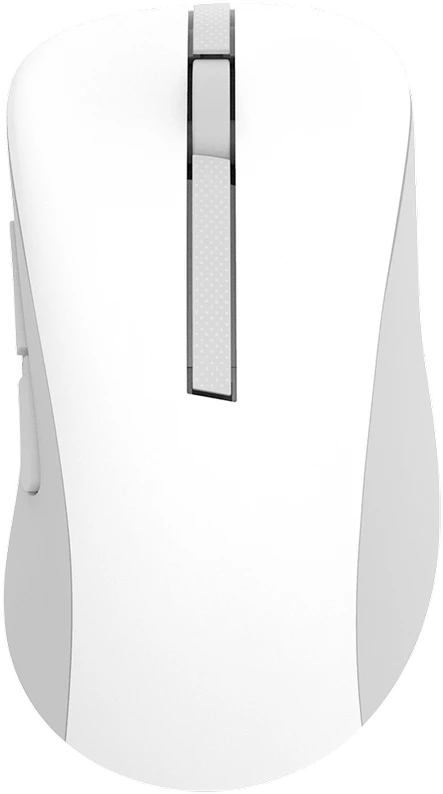 Asus Belaidė pelė | MD102 | Pelė | 2.4 GHz, Bluetooth | Baltas