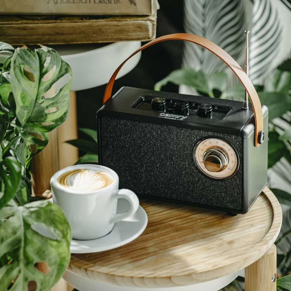 Camry | Speaker with radio | CR 1902 B | Juodas | Belaidė jungtis