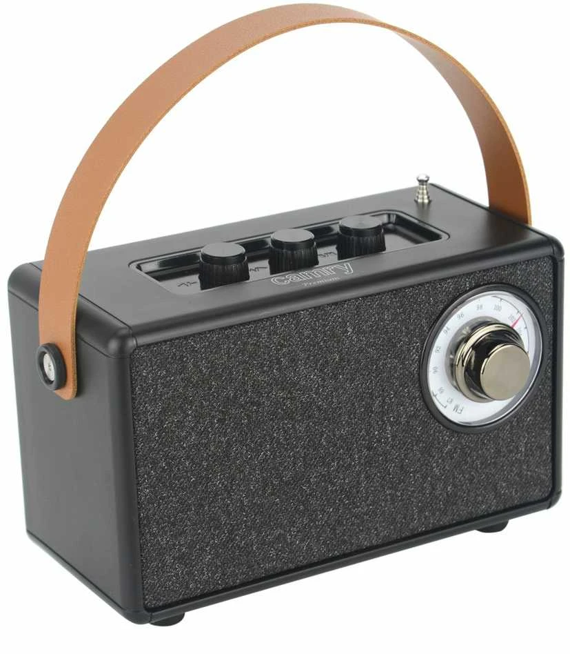 Camry | Speaker with radio | CR 1902 B | Juodas | Belaidė jungtis