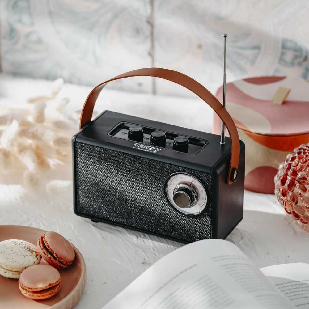 Camry | Speaker with radio | CR 1902 B | Juodas | Belaidė jungtis
