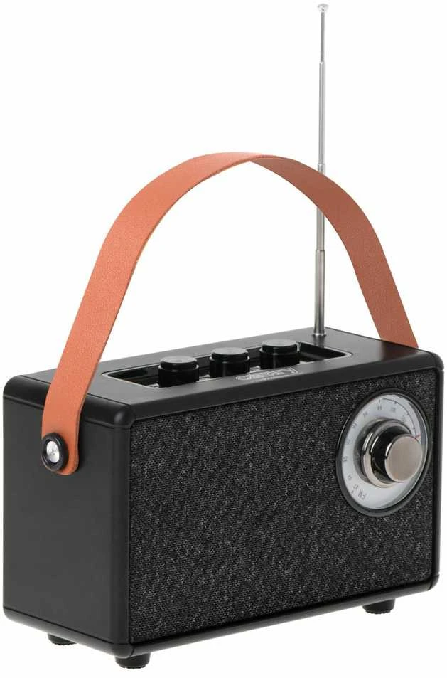 Camry | Speaker with radio | CR 1902 B | Juodas | Belaidė jungtis