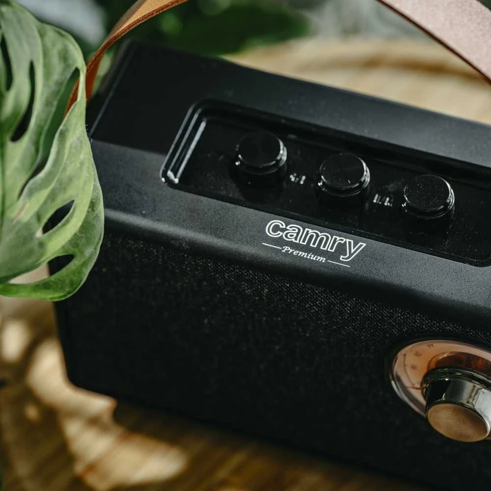 Camry | Speaker with radio | CR 1902 B | Juodas | Belaidė jungtis