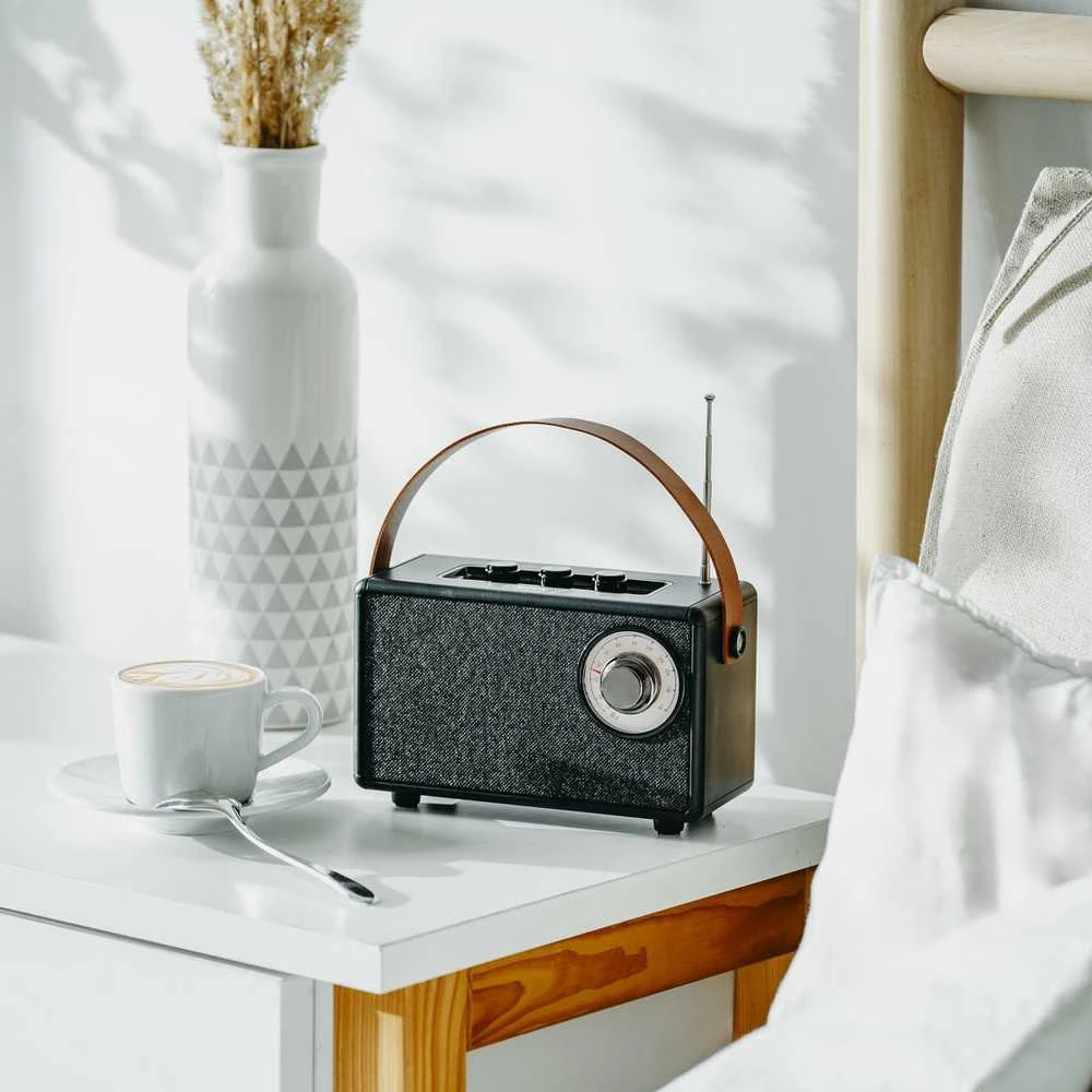 Camry | Speaker with radio | CR 1902 B | Juodas | Belaidė jungtis