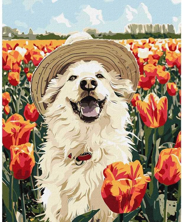 Ideyka Tapybos pagal skaičius rinkinys „Laimingas labradoras“ 40x50 AP0042