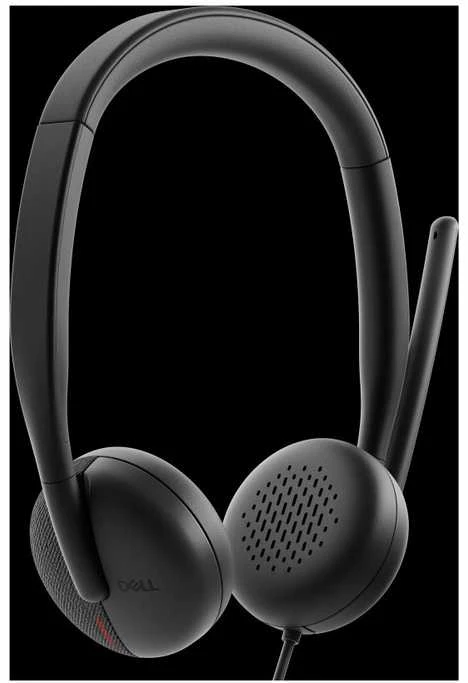 Dell | Ausinės | WH3024 | Įmontuotas mikrofonas | USB-C, USB-A | Juodos