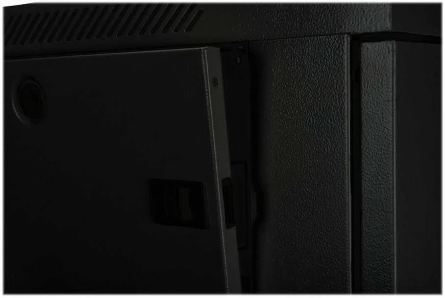 Digitus Wall Mounting Cabinet | DN-19 12-U-EC-SW | Juodas