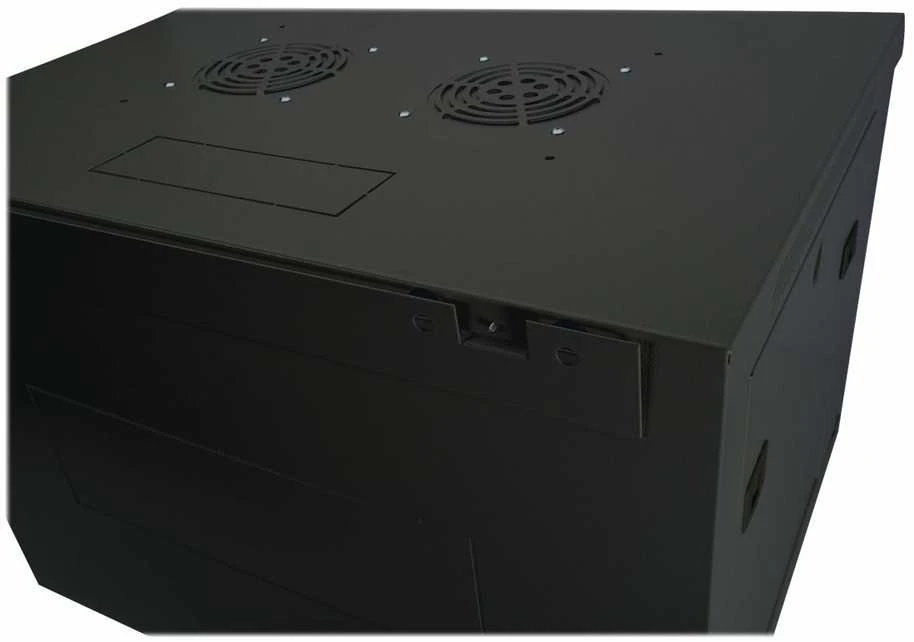 Digitus Wall Mounting Cabinet | DN-19 12-U-EC-SW | Juodas