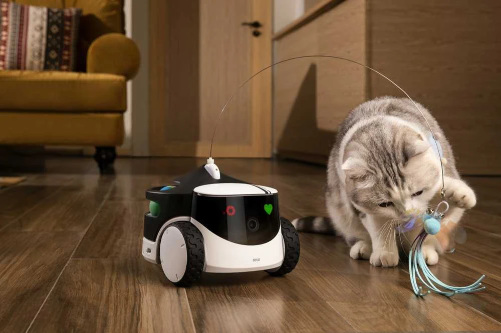 Enabot | Šeimos roboto IP kamera | ROLA PetPal