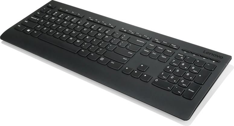 LENOVO Professional Belaidė klaviatūra ir pelė Combo - US English su Euro simboliu
