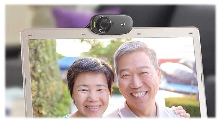 Internetinė kamera Logitech C310 HD