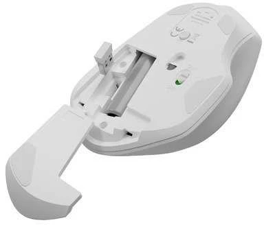 NATEC Belaidė pelė Siskin 2 1600DPI Bluetooth 5.0 + 2.4Ghz baltas