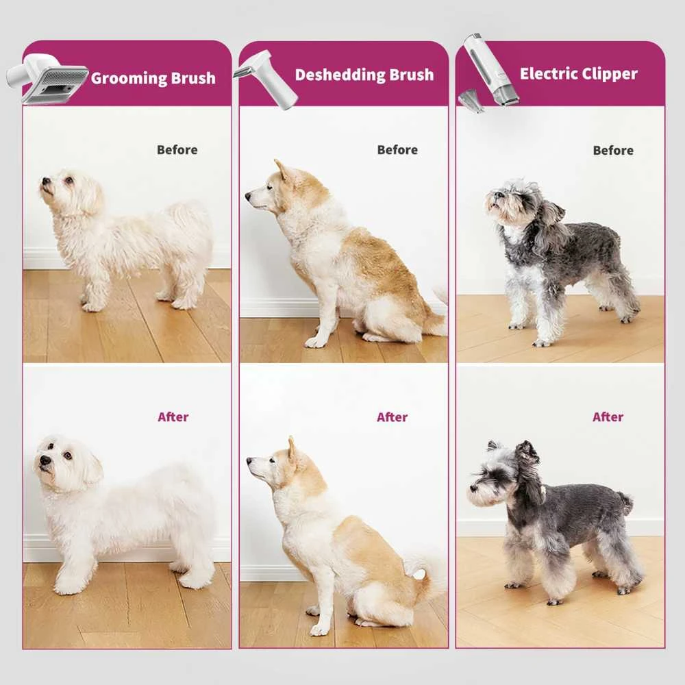 Naminių gyvūnėlių priežiūros rinkinys PETKIT Air Clipper 5-in-1