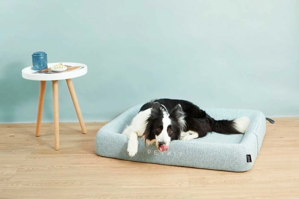 PETKIT All Season Sleep (B5-S) augintinio guolis, dydis S | P7110 S | Žalias