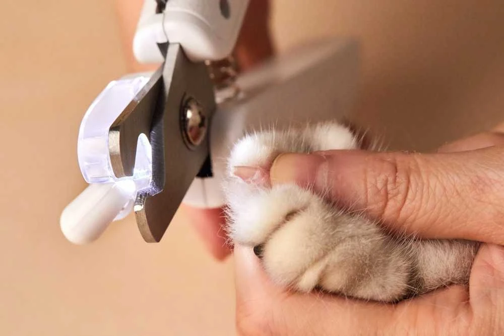 PETKIT nagų kirpimo žirklės su LED apšvietimu