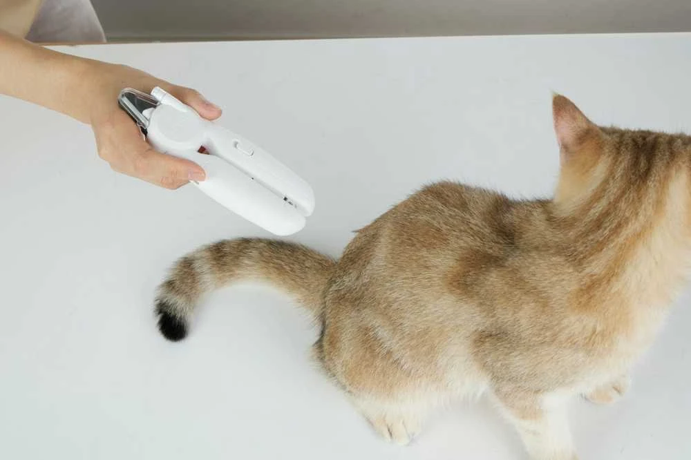 PETKIT | LED nagų kirpimo mašinėlė PRO | Baltas