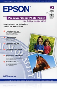 Epson Premium Glossy Photo Paper A3, 250g/m2, 20 lapų