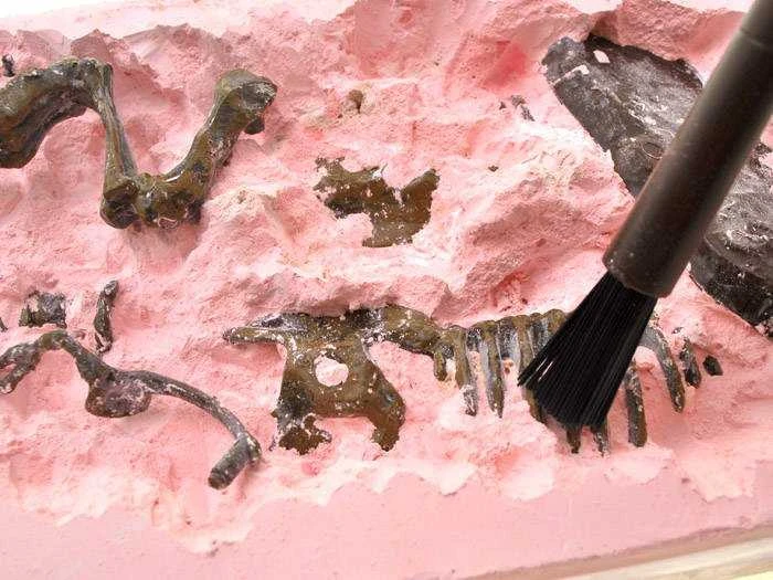 Jokomisiada 3D dinozauro skeleto rinkinys