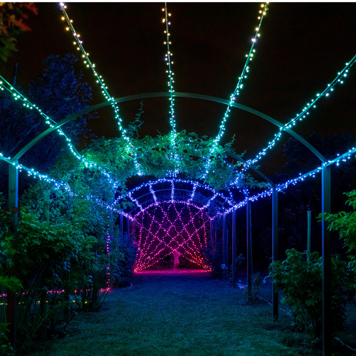 Kalėdinė išmanioji lempučių girlianda Twinkly Strings 100 LED, RGB, daugiaspalvės
