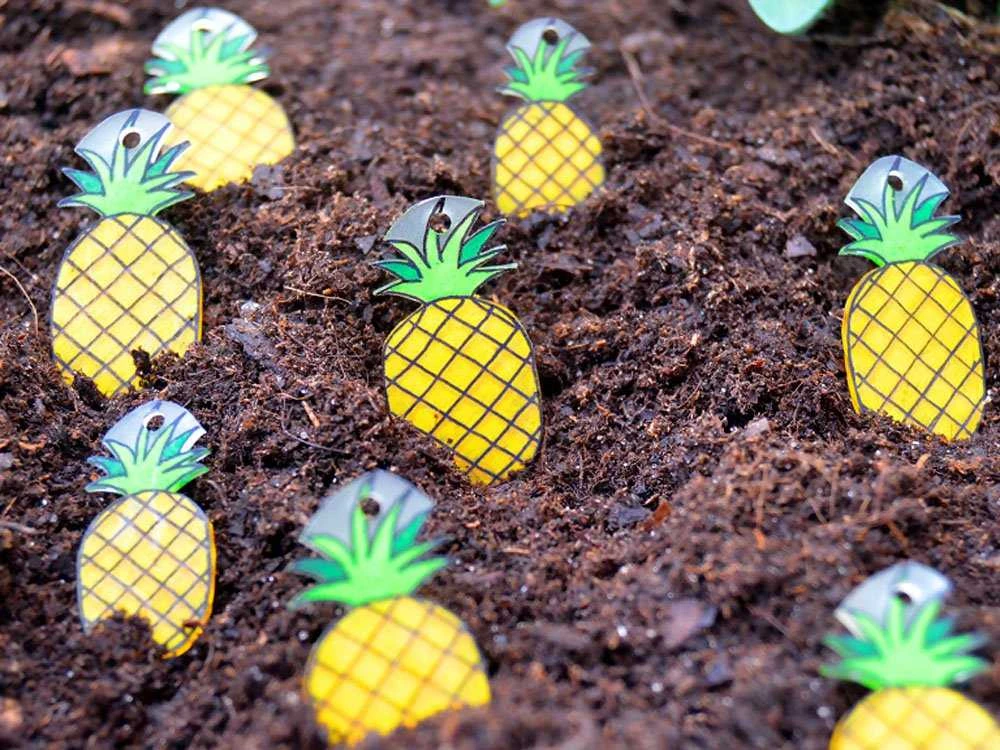 Fabryka Frajdy Vaisių kepiniai susitraukia foliją