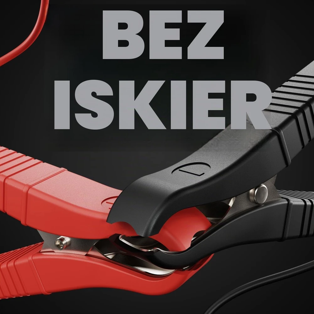 ABSINA akumuliatorių įkroviklis 6 V ir 12 V, 3,8 A, LiFePO4 ir švino rūgšties, 301008