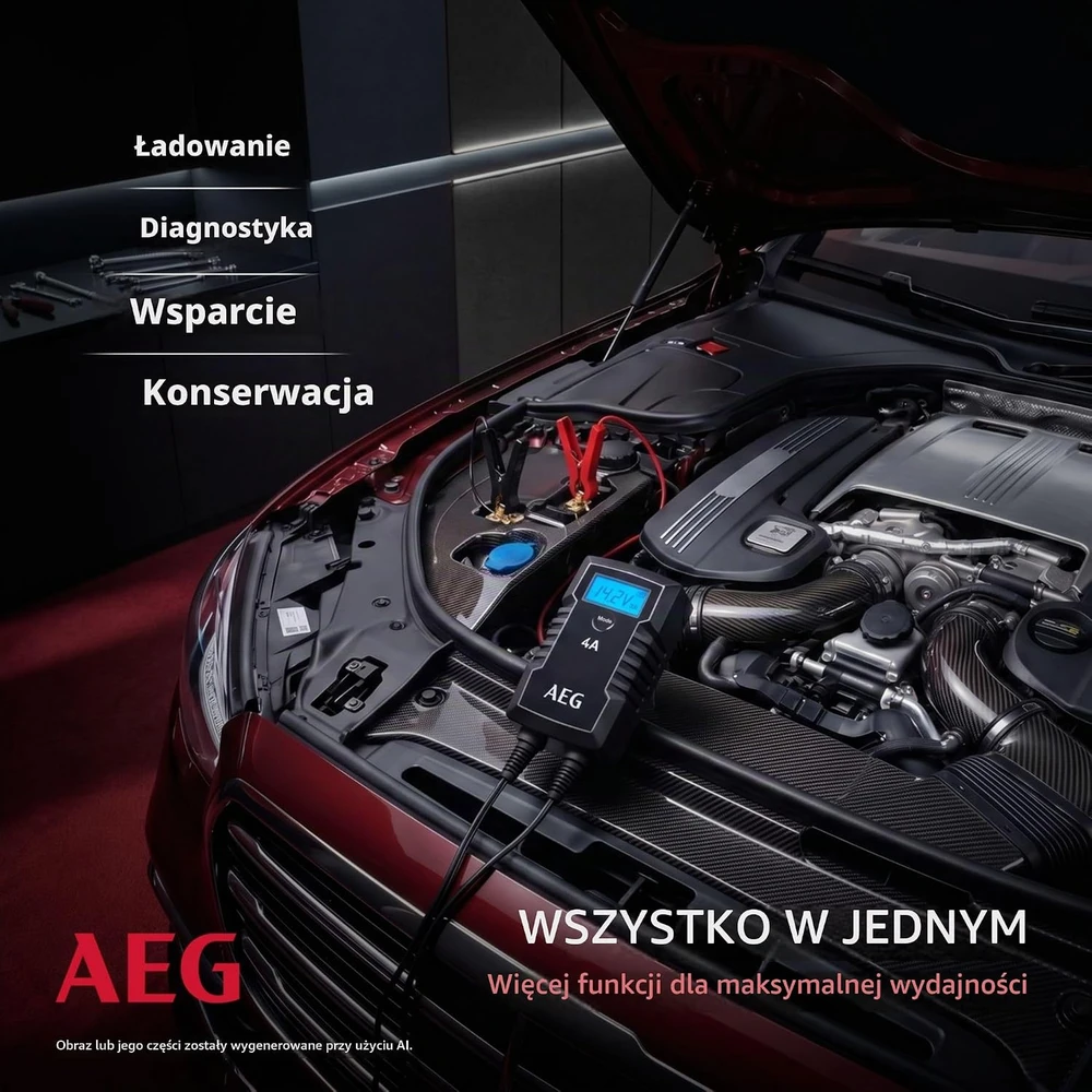 AEG automobilinio akumuliatoriaus mikroprocesorinis įkroviklis 6/12 V 4 A LD 4.0 10616