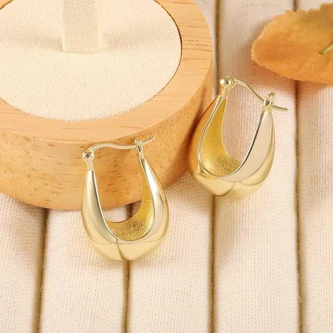 ALEXCRAFT Aukso kreolės auskarai moterims