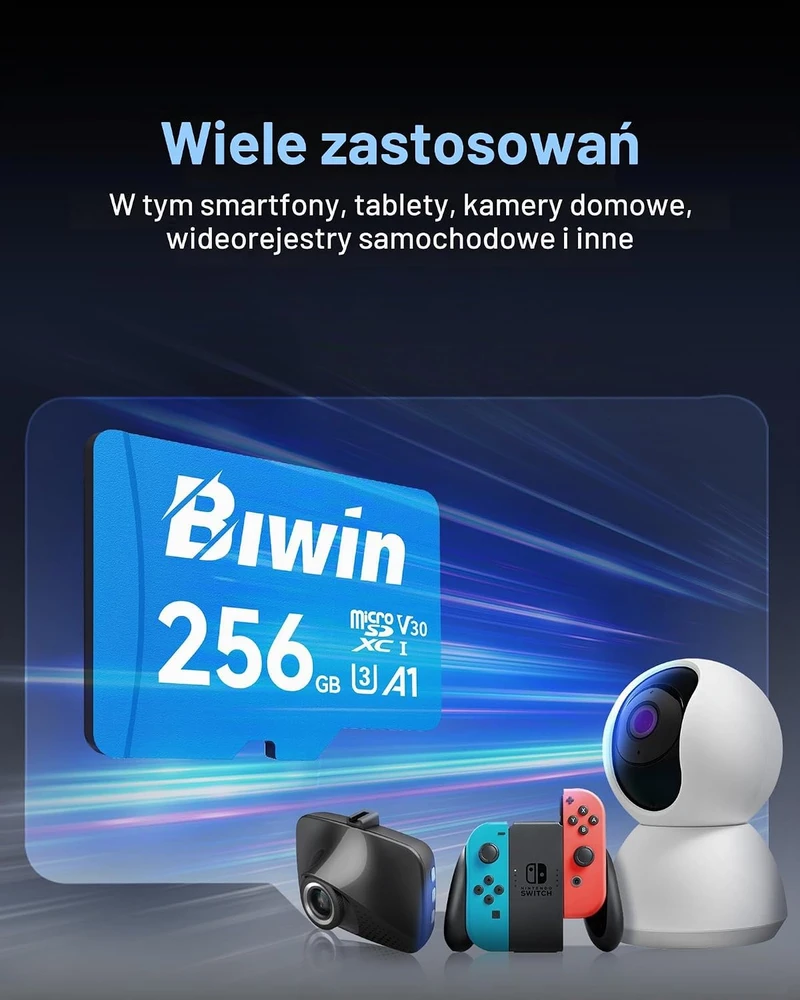 BIWIN 256 GB Micro SDXC atminties kortelė, UHS-I, V30, U3, 10 klasės, MS100