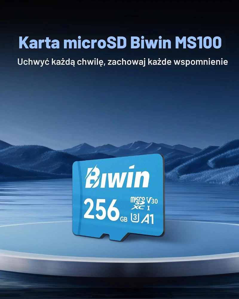 BIWIN 256 GB Micro SDXC atminties kortelė, UHS-I, V30, U3, 10 klasės, MS100