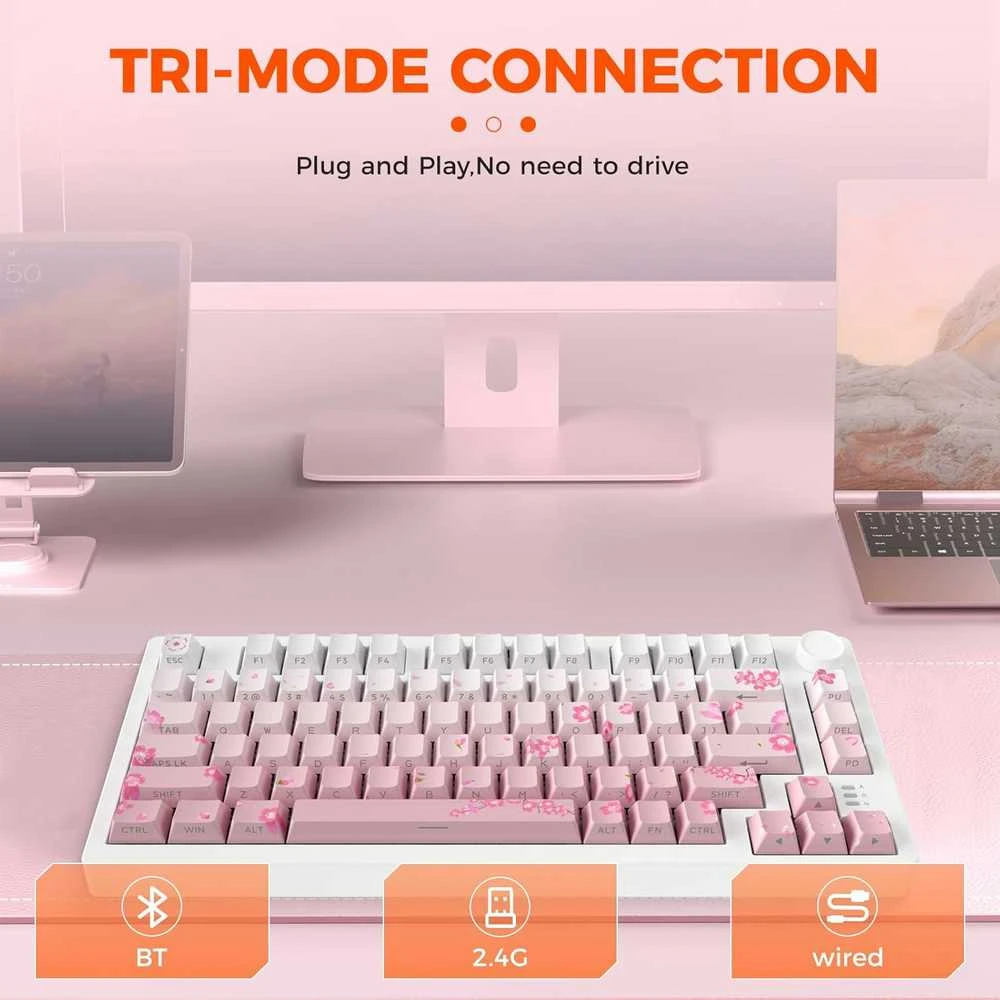Dareu EK75 Pro RGB belaidė klaviatūra (juoda)