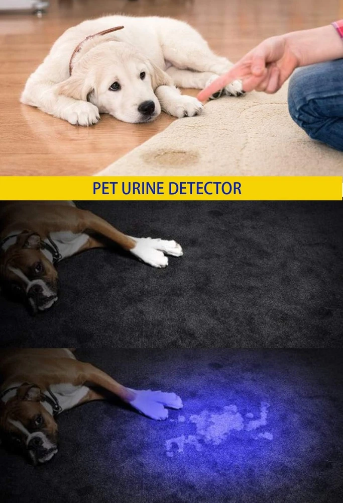 DARKBEAM UV žibintuvėlis 365 nm ir 395 nm, reguliuojamas, vandeniui atsparus, LED, A100