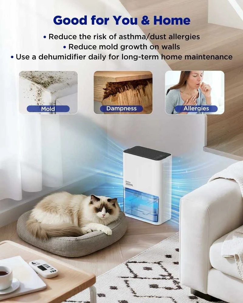 EasyAcc KW-CS05 elektrinis oro sausintuvas, 2 l bakelis, 50 W, tylus, su automatinio išsijungimo funkcija