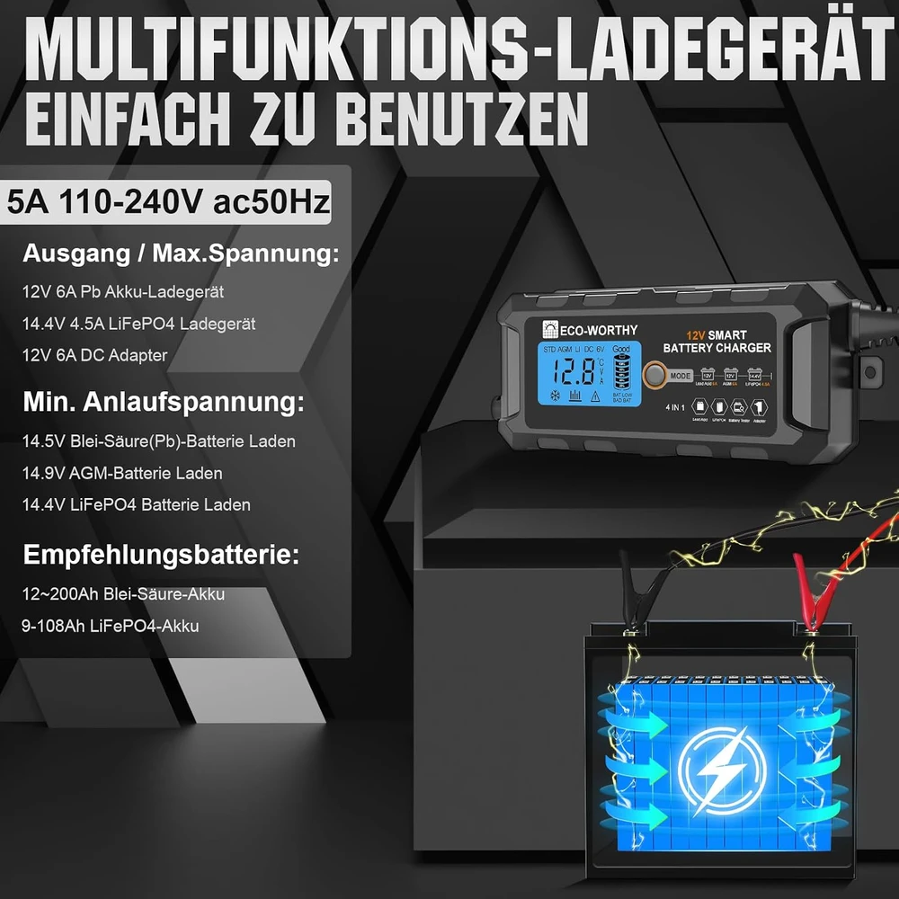 ECO-WORTHY akumuliatorių įkroviklis LiFePO4 ir švino-rūgšties 12 V 5 A SAE EPA1205L