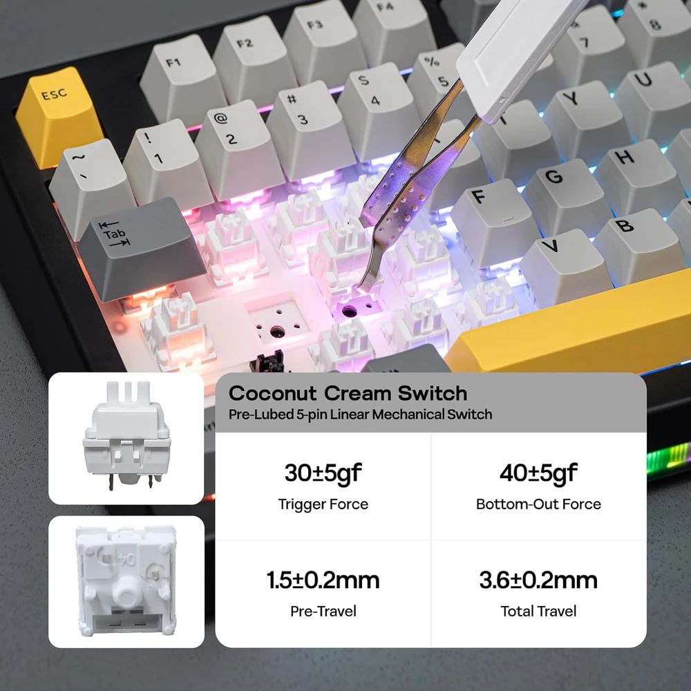 Epomaker AK820 V2 belaidė mechaninė klaviatūra 75% su RGB, 2.4 GHz, Bluetooth, Hot-Swap