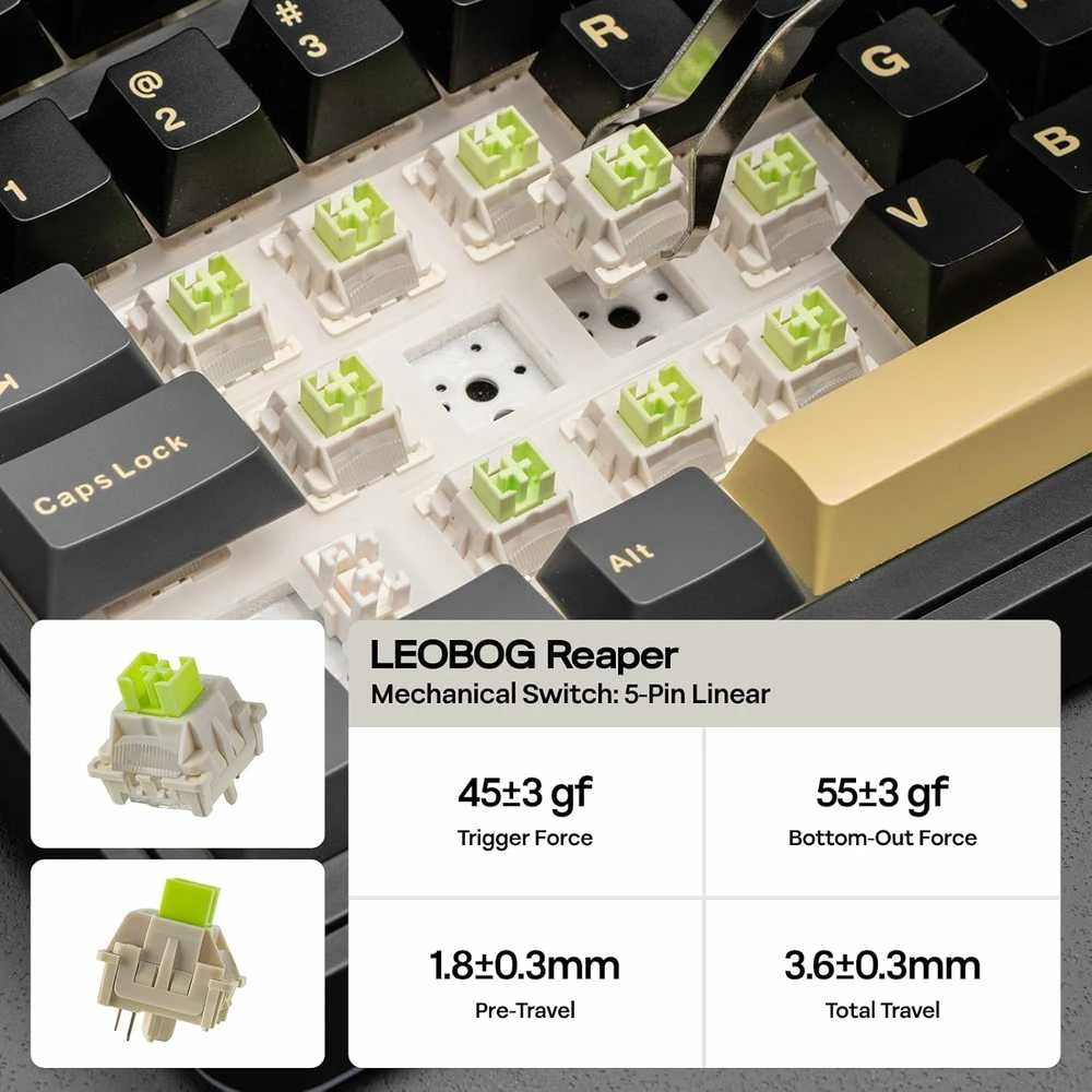 EPOMAKER belaidė mechaninė klaviatūra su RGB apšvietimu, 75 %, 5000 mAh, ekranas EA75 MAX